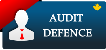 Audit Defence